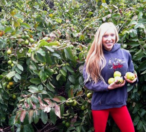 fruitfun88