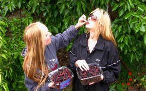 greenmulberries2
