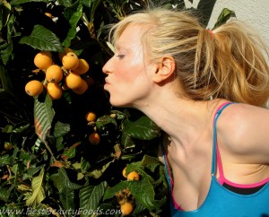 loquats
