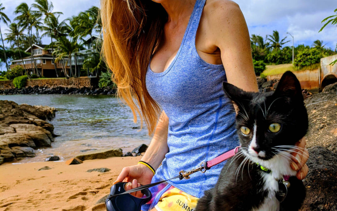 Kitties and Kayaks