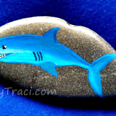 Shark Stones
